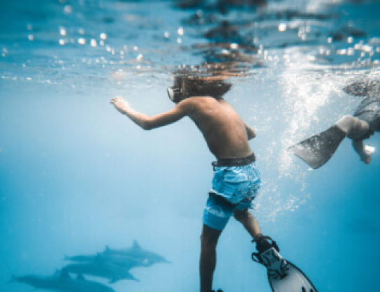 Cardano DeFi Ecosystem Overview