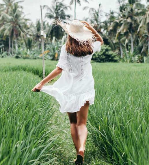 ADA Forecast 2027–2028